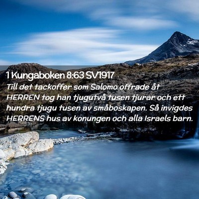 Picture 02 - 1 Kungaboken 8:63 SV1917 - Till det tackoffer som Salomo offrade åt HERREN - Bible Verse Picture