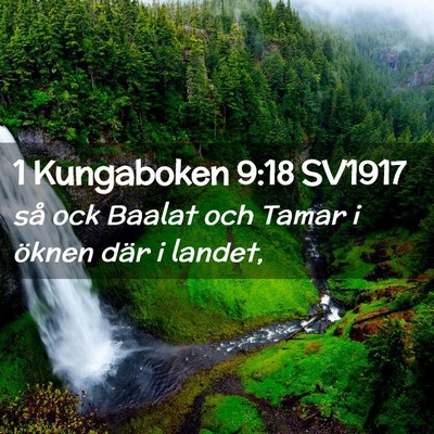 Picture 02 - 1 Kungaboken 9:18 SV1917 - så ock Baalat och Tamar i öknen där i - Bible Verse Picture
