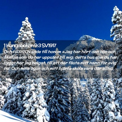 Picture 02 - 1 Kungaboken 9:3 SV1917 - Och HERREN sade till honom »Jag har hört den - Bible Verse Picture