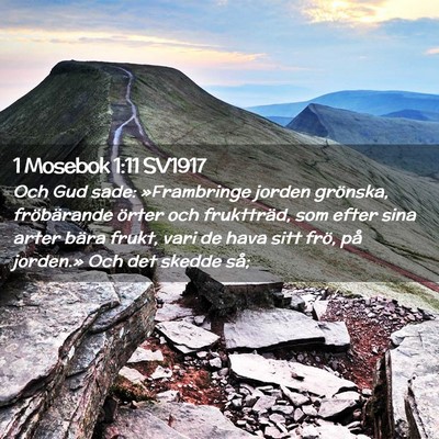 Picture 02 - 1 Mosebok 1:11 SV1917 - Och Gud sade: »Frambringe jorden grönska, - Bible Verse Picture