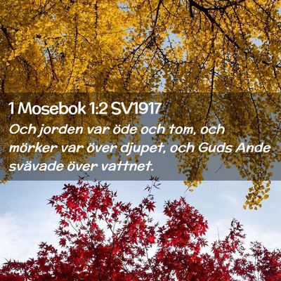 Picture 02 - 1 Mosebok 1:2 SV1917 - Och jorden var öde och tom, och mörker var - Bible Verse Picture
