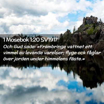 Picture 02 - 1 Mosebok 1:20 SV1917 - Och Gud sade: »Frambringe vattnet ett vimmel av - Bible Verse Picture