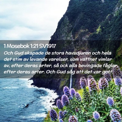 Picture 02 - 1 Mosebok 1:21 SV1917 - Och Gud skapade de stora havsdjuren och hela det - Bible Verse Picture