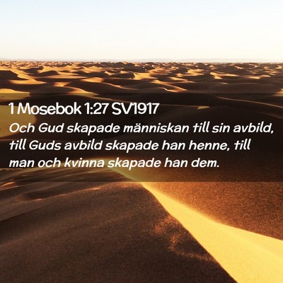 Picture 02 - 1 Mosebok 1:27 SV1917 - Och Gud skapade människan till sin avbild, till - Bible Verse Picture