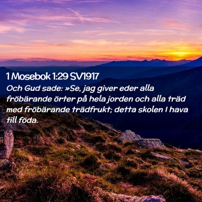 Picture 02 - 1 Mosebok 1:29 SV1917 - Och Gud sade: »Se, jag giver eder alla - Bible Verse Picture