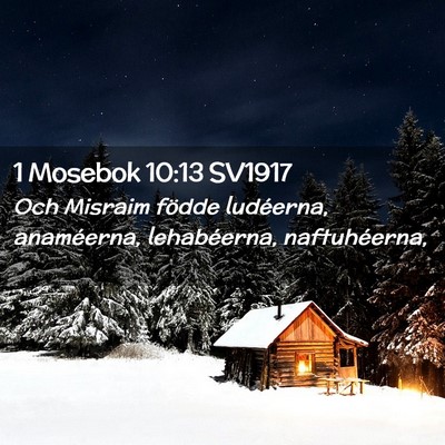 Picture 02 - 1 Mosebok 10:13 SV1917 - Och Misraim födde ludéerna, anaméerna, - Bible Verse Picture