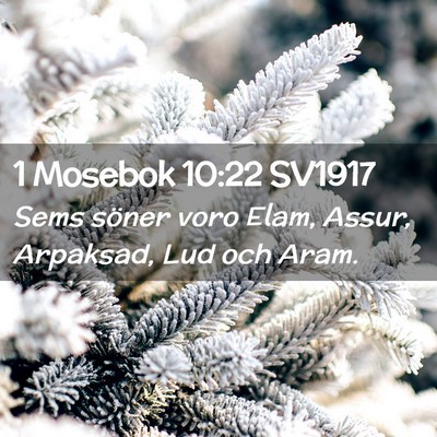 Picture 02 - 1 Mosebok 10:22 SV1917 - Sems söner voro Elam, Assur, Arpaksad, Lud och - Bible Verse Picture
