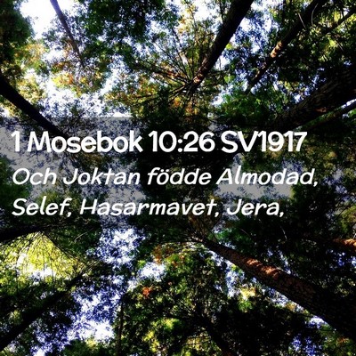 Picture 02 - 1 Mosebok 10:26 SV1917 - Och Joktan födde Almodad, Selef, Hasarmavet, - Bible Verse Picture