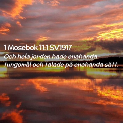 Picture 02 - 1 Mosebok 11:1 SV1917 - Och hela jorden hade enahanda tungomål och - Bible Verse Picture