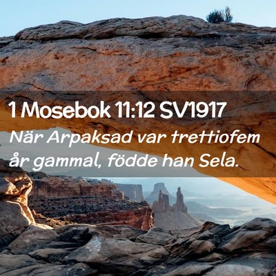 Picture 02 - 1 Mosebok 11:12 SV1917 - När Arpaksad var trettiofem år gammal, födde - Bible Verse Picture