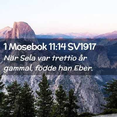 Picture 02 - 1 Mosebok 11:14 SV1917 - När Sela var trettio år gammal, födde han - Bible Verse Picture