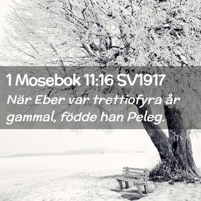 Picture 02 - 1 Mosebok 11:16 SV1917 - När Eber var trettiofyra år gammal, födde han - Bible Verse Picture