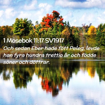 Picture 02 - 1 Mosebok 11:17 SV1917 - Och sedan Eber hade fött Peleg, levde han fyra - Bible Verse Picture