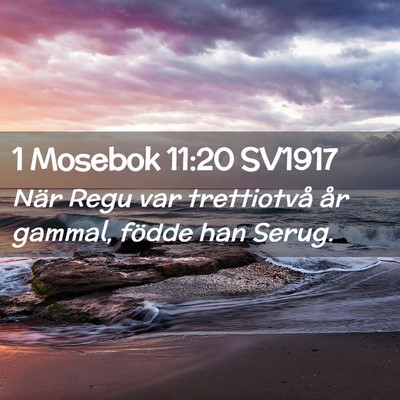 Picture 02 - 1 Mosebok 11:20 SV1917 - När Regu var trettiotvå år gammal, födde han - Bible Verse Picture
