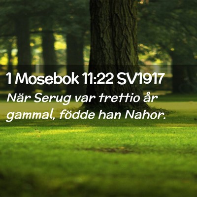 Picture 02 - 1 Mosebok 11:22 SV1917 - När Serug var trettio år gammal, födde han - Bible Verse Picture