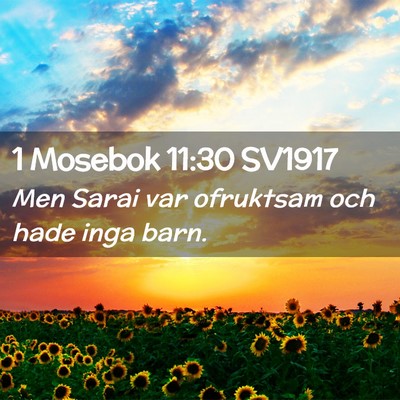 Picture 02 - 1 Mosebok 11:30 SV1917 - Men Sarai var ofruktsam och hade inga - Bible Verse Picture
