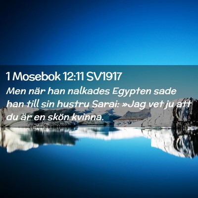 Picture 02 - 1 Mosebok 12:11 SV1917 - Men när han nalkades Egypten sade han till sin - Bible Verse Picture