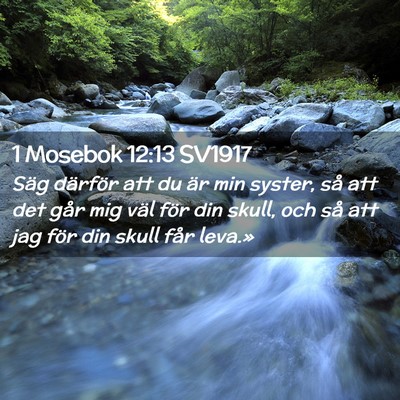 Picture 02 - 1 Mosebok 12:13 SV1917 - Säg därför att du är min syster, så att det - Bible Verse Picture