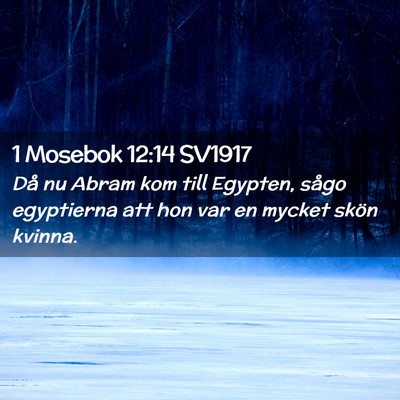 Picture 02 - 1 Mosebok 12:14 SV1917 - Då nu Abram kom till Egypten, sågo egyptierna - Bible Verse Picture