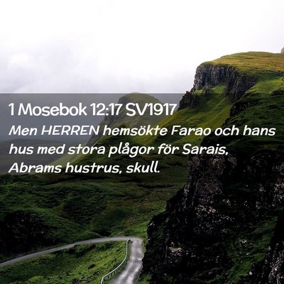 Picture 02 - 1 Mosebok 12:17 SV1917 - Men HERREN hemsökte Farao och hans hus med stora - Bible Verse Picture