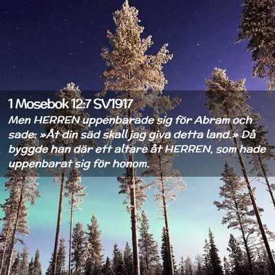 Picture 02 - 1 Mosebok 12:7 SV1917 - Men HERREN uppenbarade sig för Abram och sade: - Bible Verse Picture
