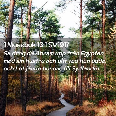 Picture 02 - 1 Mosebok 13:1 SV1917 - Så drog då Abram upp från Egypten med sin - Bible Verse Picture