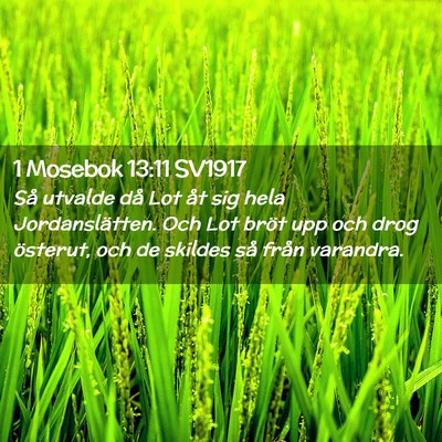 Picture 02 - 1 Mosebok 13:11 SV1917 - Så utvalde då Lot åt sig hela Jordanslätten. - Bible Verse Picture