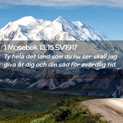 Picture 02 - 1 Mosebok 13:15 SV1917 - Ty hela det land som du nu ser skall jag giva åt - Bible Verse Picture