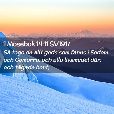 Picture 02 - 1 Mosebok 14:11 SV1917 - Så togo de allt gods som fanns i Sodom och - Bible Verse Picture