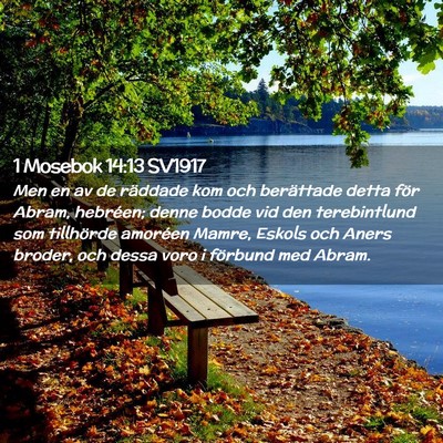 Picture 02 - 1 Mosebok 14:13 SV1917 - Men en av de räddade kom och berättade detta - Bible Verse Picture