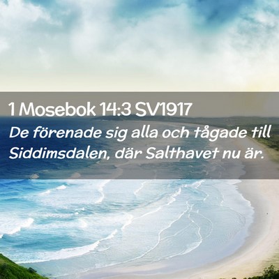 Picture 02 - 1 Mosebok 14:3 SV1917 - De förenade sig alla och tågade till - Bible Verse Picture