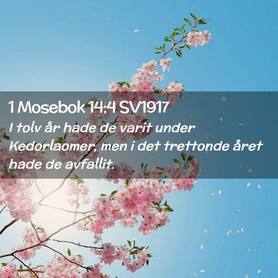 Picture 02 - 1 Mosebok 14:4 SV1917 - I tolv år hade de varit under Kedorlaomer, men i - Bible Verse Picture