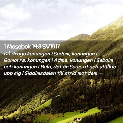 Picture 02 - 1 Mosebok 14:8 SV1917 - Då drogo konungen i Sodom, konungen i Gomorra, - Bible Verse Picture