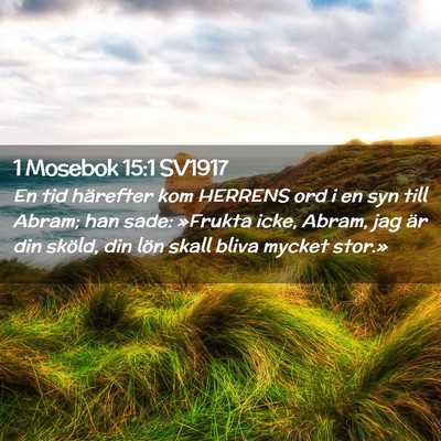 Picture 02 - 1 Mosebok 15:1 SV1917 - En tid härefter kom HERRENS ord i en syn till - Bible Verse Picture