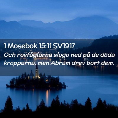 Picture 02 - 1 Mosebok 15:11 SV1917 - Och rovfåglarna slogo ned på de döda - Bible Verse Picture