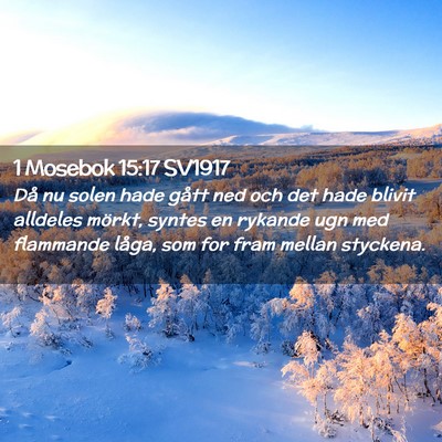 Picture 02 - 1 Mosebok 15:17 SV1917 - Då nu solen hade gått ned och det hade blivit - Bible Verse Picture