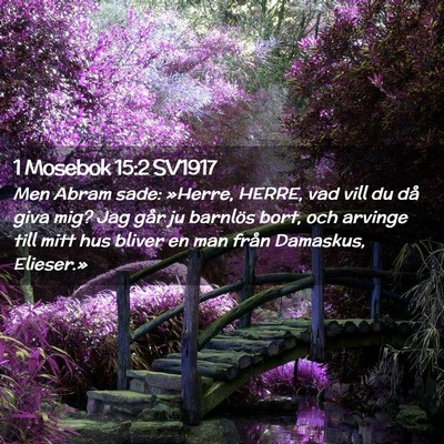 Picture 02 - 1 Mosebok 15:2 SV1917 - Men Abram sade: »Herre, HERRE, vad vill du då - Bible Verse Picture