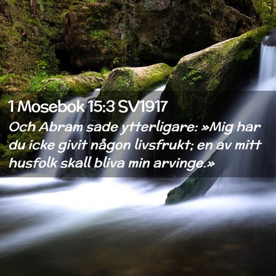 Picture 02 - 1 Mosebok 15:3 SV1917 - Och Abram sade ytterligare: »Mig har du icke - Bible Verse Picture