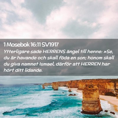 Picture 02 - 1 Mosebok 16:11 SV1917 - Ytterligare sade HERRENS ängel till henne: »Se, - Bible Verse Picture