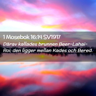 Picture 02 - 1 Mosebok 16:14 SV1917 - Därav kallades brunnen Beer-Lahai-Roi; den - Bible Verse Picture
