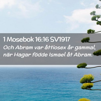 Picture 02 - 1 Mosebok 16:16 SV1917 - Och Abram var åttiosex år gammal, när Hagar - Bible Verse Picture