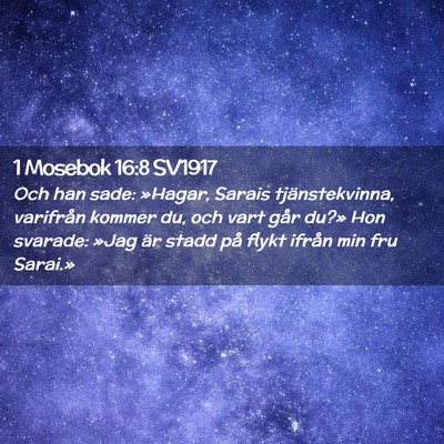 Picture 02 - 1 Mosebok 16:8 SV1917 - Och han sade: »Hagar, Sarais tjänstekvinna, - Bible Verse Picture