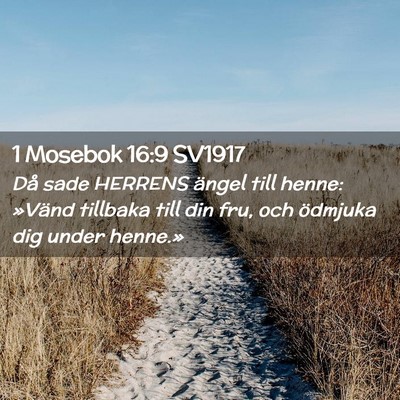 Picture 02 - 1 Mosebok 16:9 SV1917 - Då sade HERRENS ängel till henne: »Vänd - Bible Verse Picture