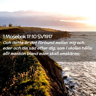 Picture 02 - 1 Mosebok 17:10 SV1917 - Och detta är det förbund mellan mig och eder - Bible Verse Picture