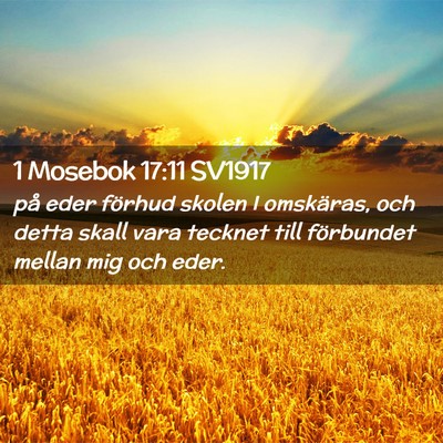 Picture 02 - 1 Mosebok 17:11 SV1917 - på eder förhud skolen I omskäras, och detta - Bible Verse Picture