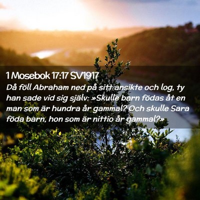 Picture 02 - 1 Mosebok 17:17 SV1917 - Då föll Abraham ned på sitt ansikte och log, - Bible Verse Picture