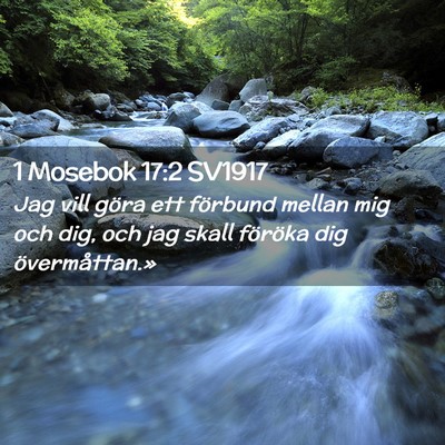 Picture 02 - 1 Mosebok 17:2 SV1917 - Jag vill göra ett förbund mellan mig och dig, - Bible Verse Picture