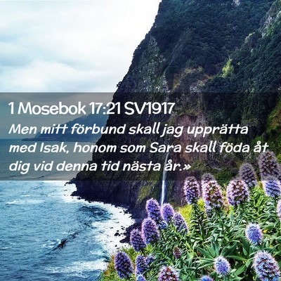 Picture 02 - 1 Mosebok 17:21 SV1917 - Men mitt förbund skall jag upprätta med Isak, - Bible Verse Picture