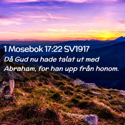 Picture 02 - 1 Mosebok 17:22 SV1917 - Då Gud nu hade talat ut med Abraham, for han upp - Bible Verse Picture