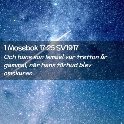 Picture 02 - 1 Mosebok 17:25 SV1917 - Och hans son Ismael var tretton år gammal, när - Bible Verse Picture